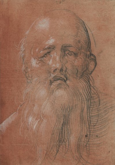 Cabeça de um homem barbudo de Albrecht Dürer