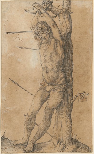 São Sebastião na árvore de Albrecht Dürer