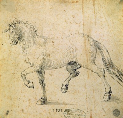 Cavalo, 1503 (caneta e tinta no papel) de Albrecht Dürer