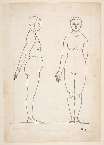 II Ilustração dos Quatro Livros da Proporção Humana de Dürer, Nuremberg, 1528.n.d. de Albrecht Dürer