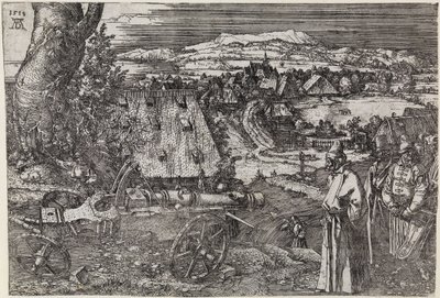 Paisagem com canhão (O grande canhão; O canhão) de Albrecht Dürer