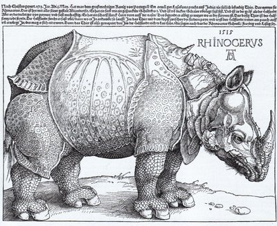 Latim:  Rhinocerus O Rinoceronte de Albrecht Dürer