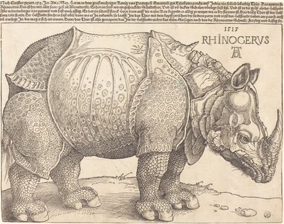 Latim:  Rhinocerus O Rinoceronte de Albrecht Dürer