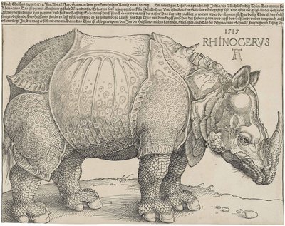 Latim:  Rhinocerus O Rinoceronte de Albrecht Dürer