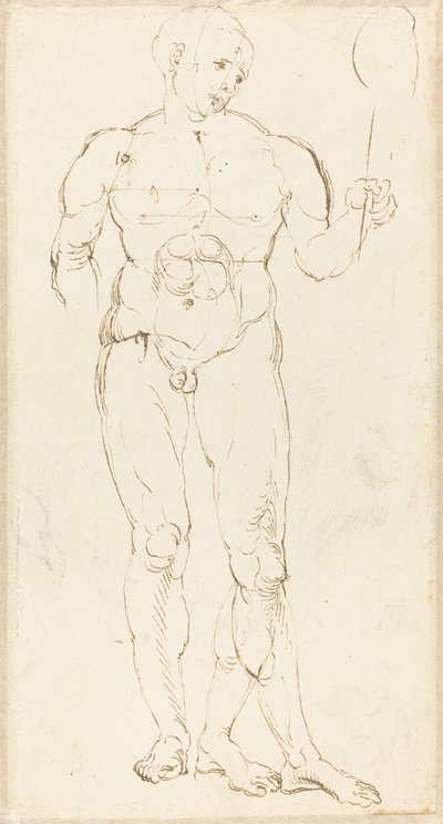 Nu masculino segurando um espelho [reto] de Albrecht Dürer