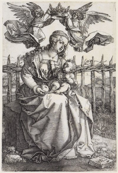  de Albrecht Dürer