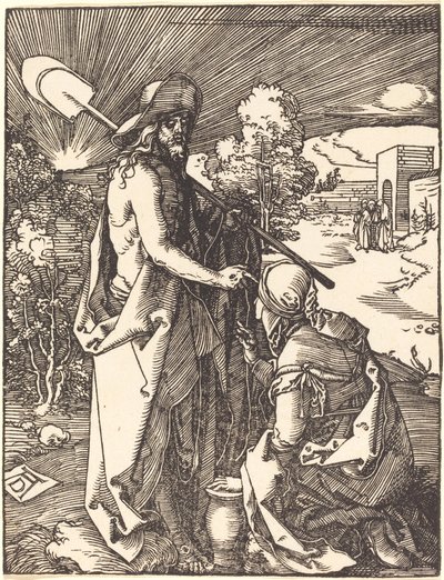 Não me toque de Albrecht Dürer