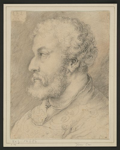 Retrato de perfil de Raymund Fugger? de Albrecht Dürer