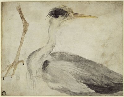  de Albrecht Dürer