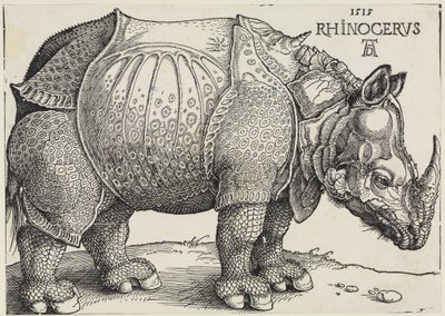 Rhinocerus (O rinoceronte) de Albrecht Dürer