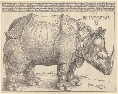 Rinoceronte de Albrecht Dürer
