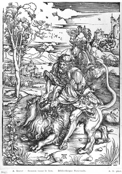 Sansão matando o leão, c.1496-98 de Albrecht Dürer