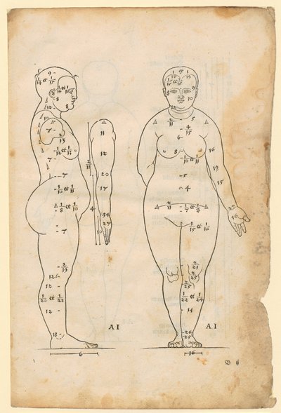  de Albrecht Dürer