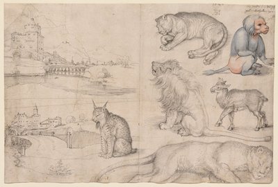  de Albrecht Dürer