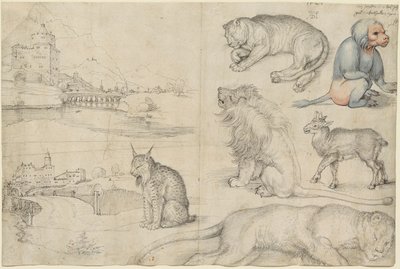 Esboços de Animais e Paisagens, 1521. de Albrecht Dürer