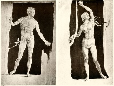 Estudos sobre Adão e Eva de Albrecht Dürer