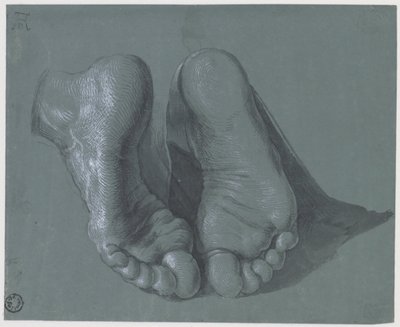 Estudo de Dois Pés, c.1508 de Albrecht Dürer