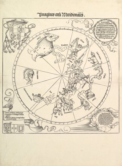 O Globo Celeste-Hemisfério Sul, 1515. de Albrecht Dürer