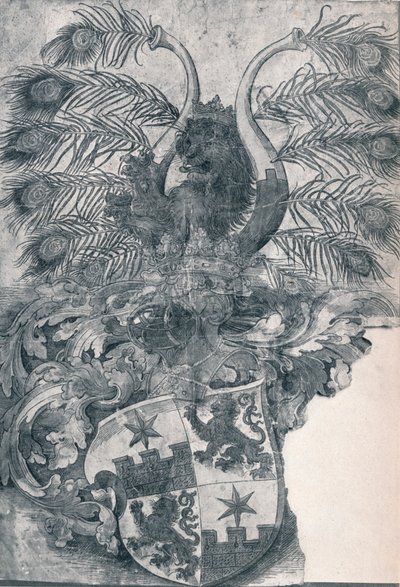 O brasão de armas de Wilhelm e Wolfgang Roggendorff, 1520 1906 de Albrecht Dürer