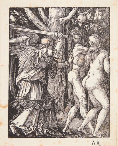  de Albrecht Dürer