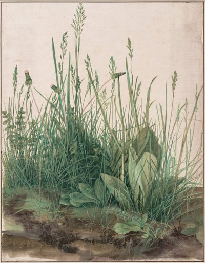 O Grande Pedaço de Relva, 1503 de Albrecht Dürer