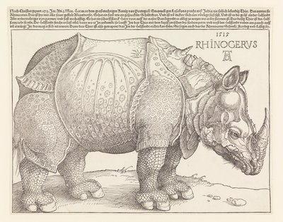 O Rinoceronte de Albrecht Dürer