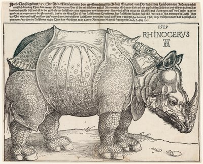 O Rinoceronte de Albrecht Dürer