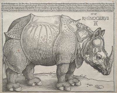 O Rinoceronte de Albrecht Dürer