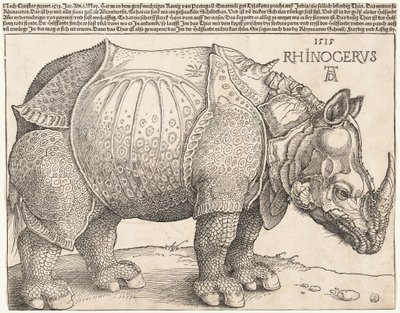  de Albrecht Dürer