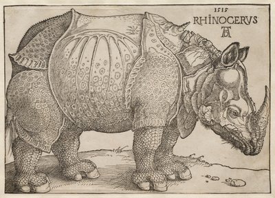  de Albrecht Dürer