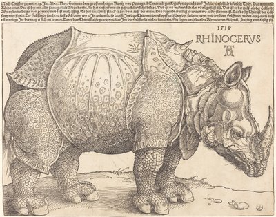 O Rinoceronte, 1515. de Albrecht Dürer