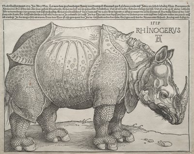 O Rinoceronte, 1515. de Albrecht Dürer