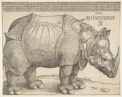 O Rhinoceros.n.d. de Albrecht Dürer