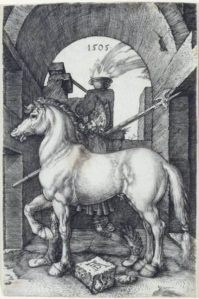 O cavalo pequeno, 1505 de Albrecht Dürer