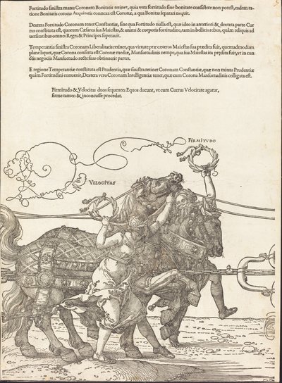 A Carruagem Triunfal de Maximiliano I (O Grande Carro Triunfal) [placa 5 de 8] de Albrecht Dürer