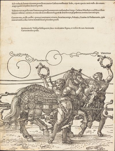 A Carruagem Triunfal de Maximiliano I (O Grande Carro Triunfal) [placa 6 de 8] de Albrecht Dürer
