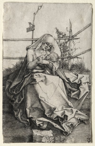 A Virgem e o Menino em um banco gramado de Albrecht Dürer