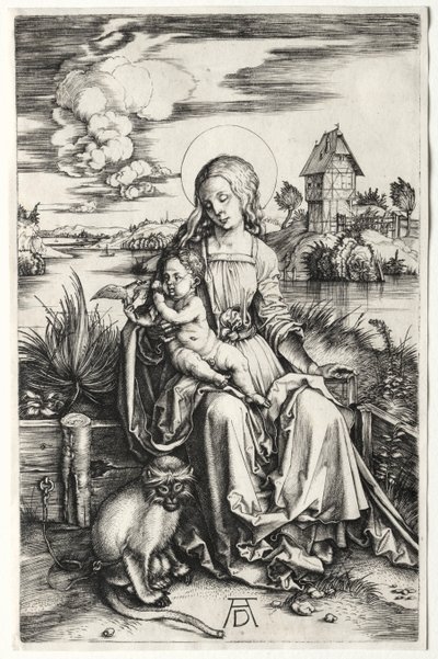A Virgem e o Menino com um Macaco de Albrecht Dürer
