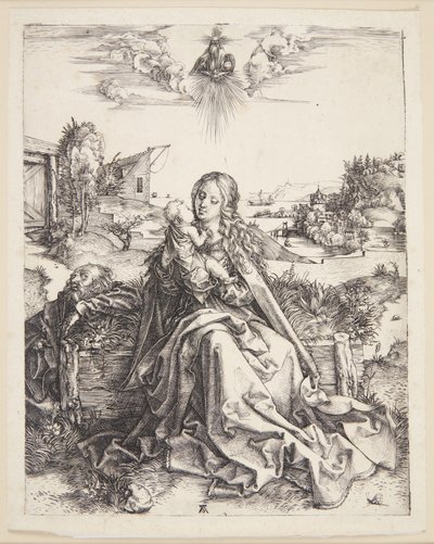 A Virgem com a libélula de Albrecht Dürer