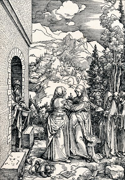 A Visitação, 1506 1906 de Albrecht Dürer
