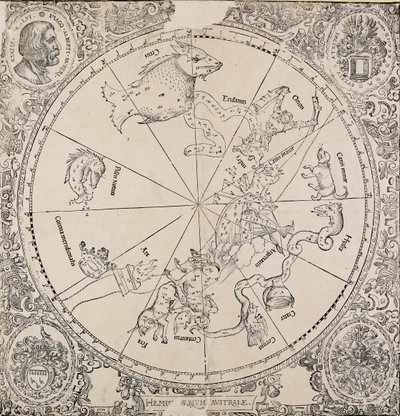 O mapa chelestial do hemisfério sul, início do século 16 de Albrecht Dürer