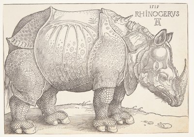 O rinoceronte de Albrecht Dürer