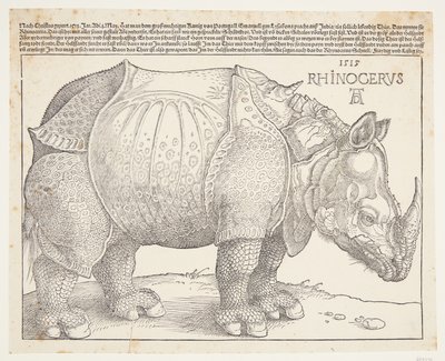 O rinoceronte de Albrecht Dürer