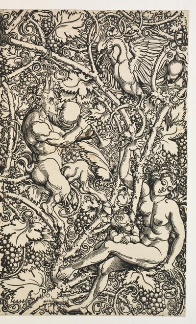 Dois desenhos para tapeçaria com satyrfamily de Albrecht Dürer