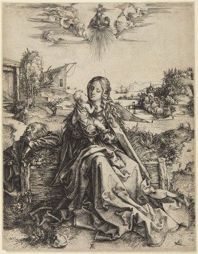Virgem com o Menino e uma libélula de Albrecht Dürer