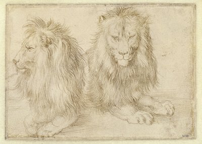  de Albrecht Dürer