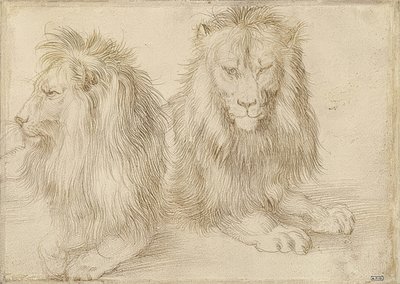 Dois leões mentirosos. 1521 de Albrecht Dürer