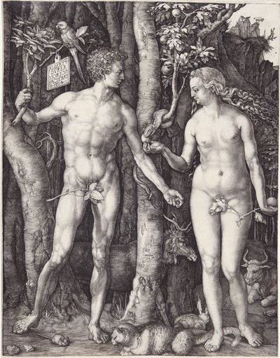 Adão e Eva, pub. 1504 (gravura) de Albrecht Dürer