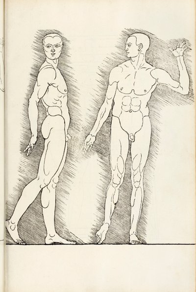 Xilogravura anatômica de Hierinn são quatro livros de proporções humanas, 1528 de Albrecht Dürer