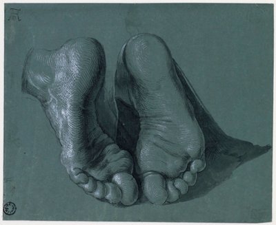 Etude de pieds - Estudo de Dois Pés - Desenho de Albrecht Durer (1471-1528), Aguarela, cor branca, giz preto sobre papel, c1508 (17,6x21,6cm) - Museu Boijmans Van Beuningen, Roterdão de Albrecht Dürer